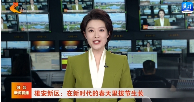 雄安新区：在新时代的春天里拔节生长