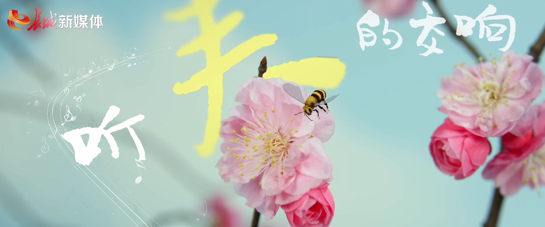 微视频 | 听！春的交响