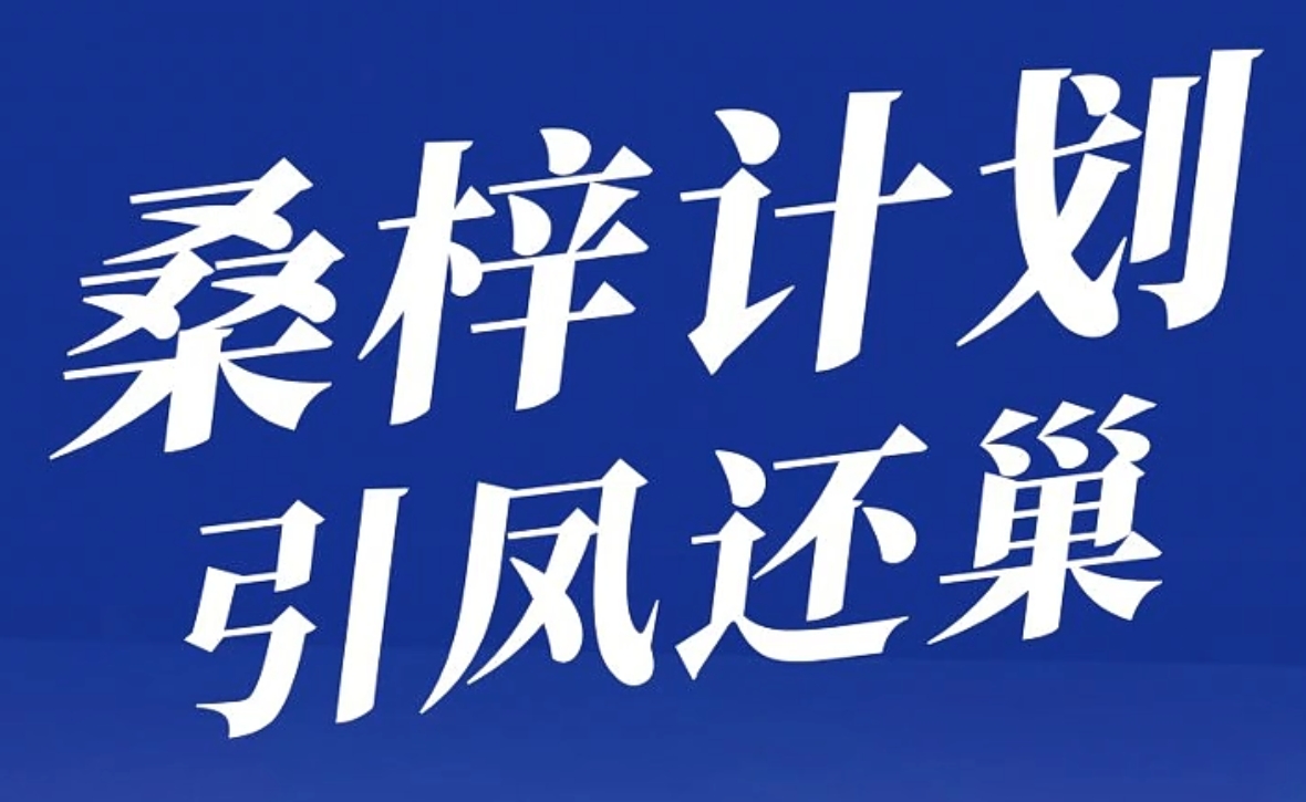 百姓看联播 | “桑梓计划” 引凤还巢