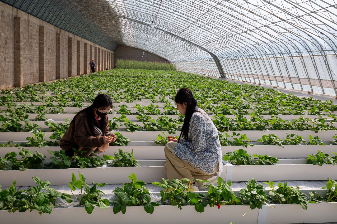 20240407388126.jpeg 115645_470e9e48-fb07-49a5-9ce1-8a65ac2f149f-topaz-enhance-0.25x.jpeg