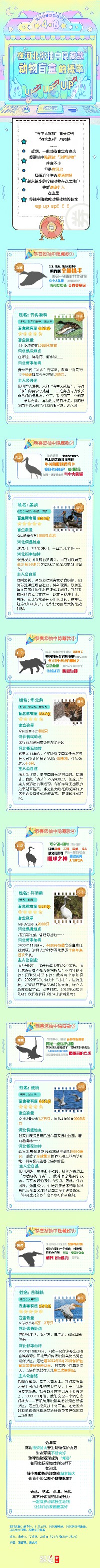 在河北，你抽中隐藏款珍稀动物盲盒的概率UP UP UP！