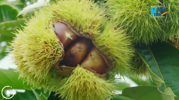 20240501153877.png 微信截图_20240501155052.png