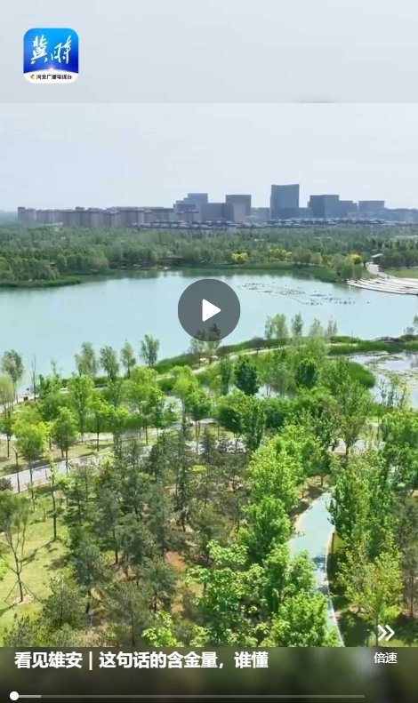 看见雄安｜这句话的含金量，谁懂