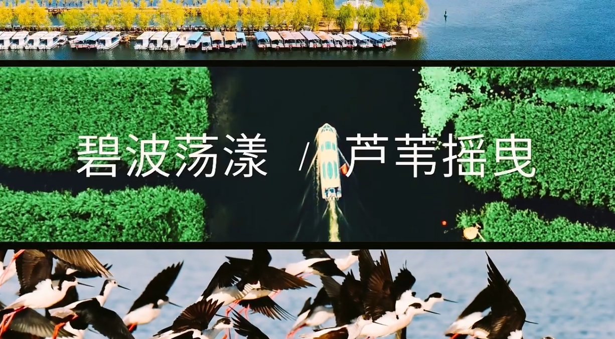微信截图_20240524141049.png