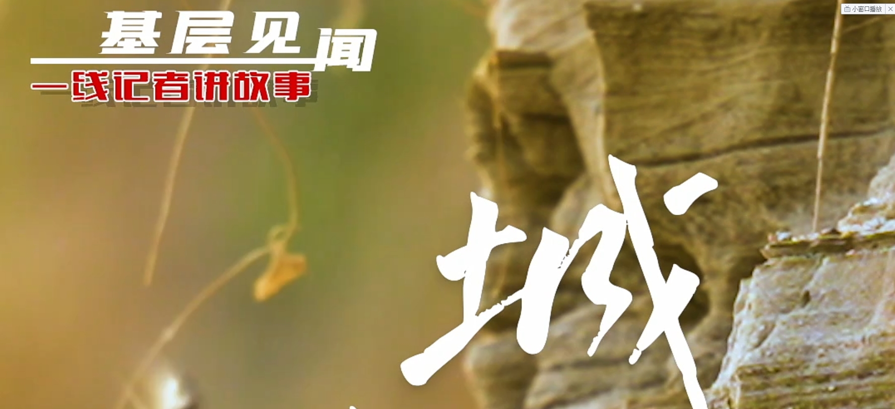 一线记者讲故事 | 基层见闻：城燕之约