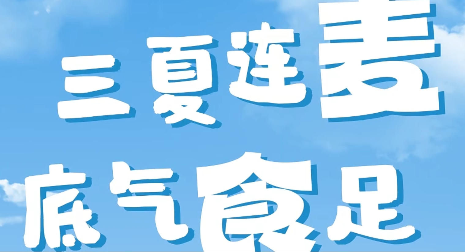 百姓看联播 | 三夏连“麦” 底气“食”足