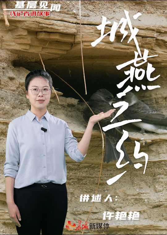 20240602616987.jpg 333.jpg