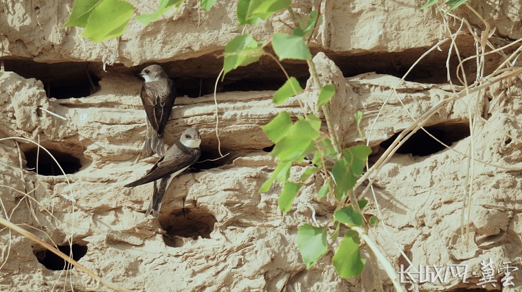 20240602860390.jpg 1717122549255067517.jpg