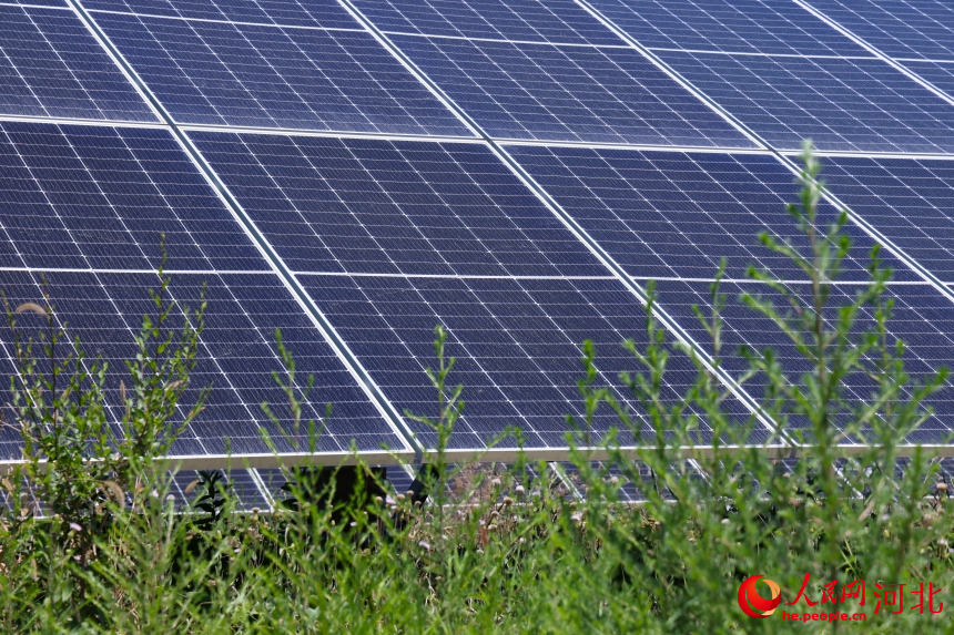 20240603184251.jpg 4.jpg