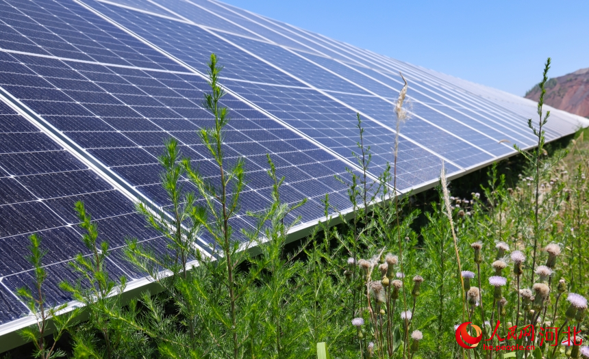 20240603383225.jpg 1.jpg