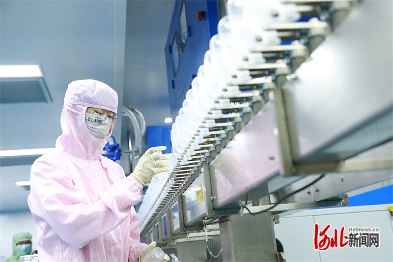 20240603855492.jpg hebnewsimg.jpg