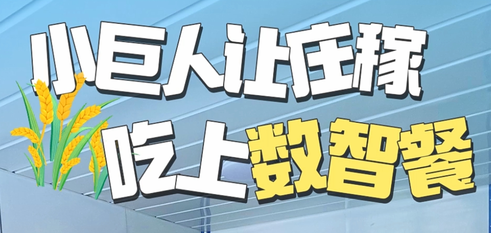 微信截图_20240611145622.png