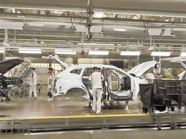 扬起绿色发展的风帆