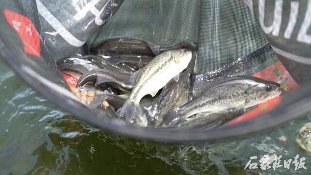 20240615330716.jpg 1.jpg