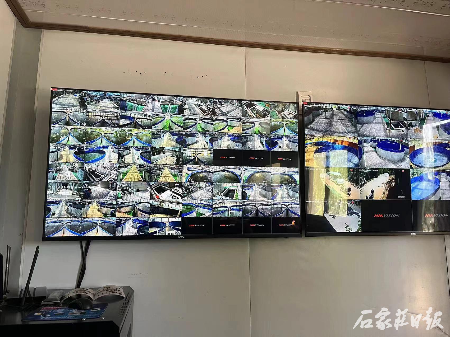 20240615339291.jpg 4.jpg