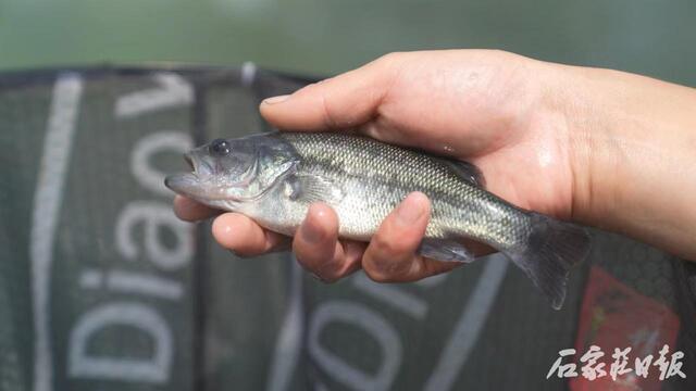 20240615909965.jpg 3.jpg