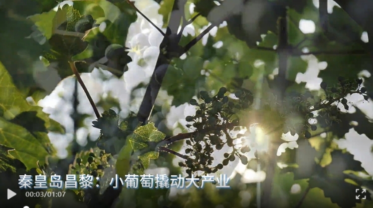 20240616976290.png 微信截图_20240616134311.png