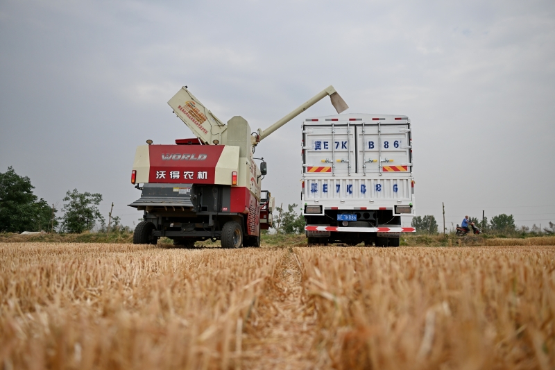 20240619561545.jpg 2cf50d4c-2c98-435a-8f80-45454a86d5d7.jpg