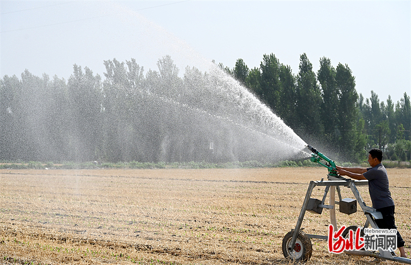 抗旱保夏播！河北多地农田喝上“解渴”水