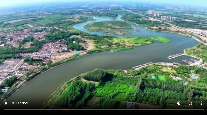 《运河儿女》①：田园设计师——杨卫青