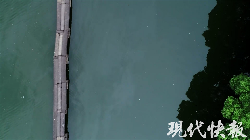 20240624302344.png 88.png