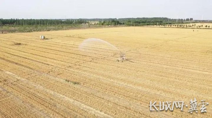 抗旱保夏播！全省夏玉米播种3718.4万亩完成任务101%