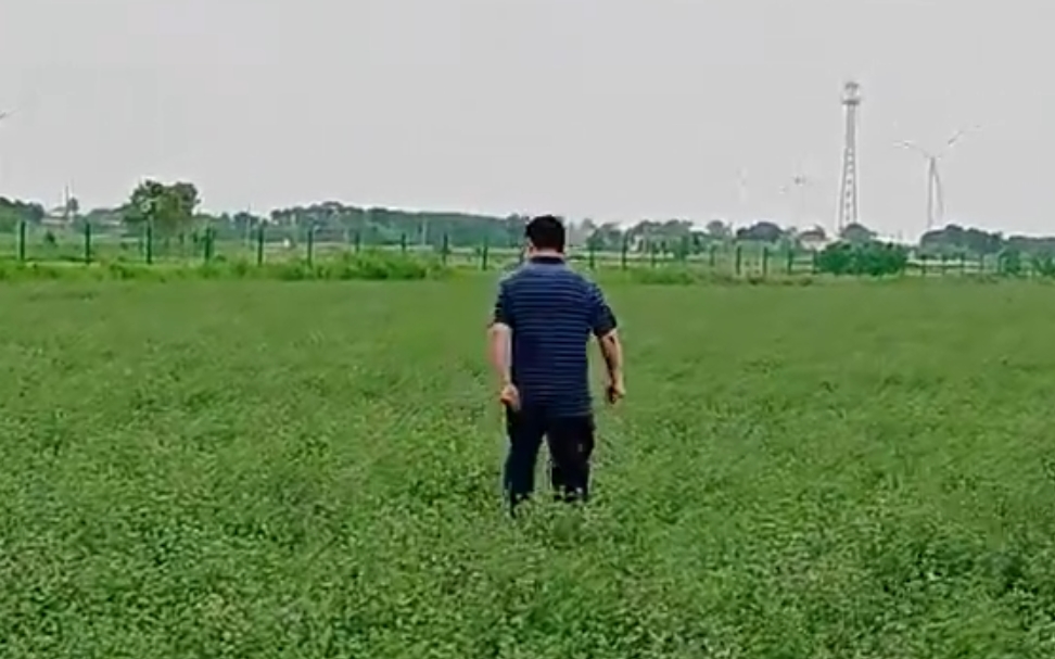 20240625630113.jpg 微信截图_20240625145209.jpg