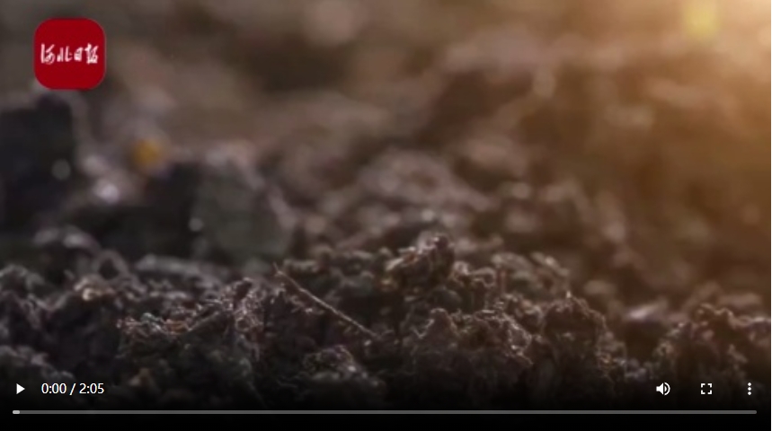 数聊·全国土地日丨耕地保护那些事儿