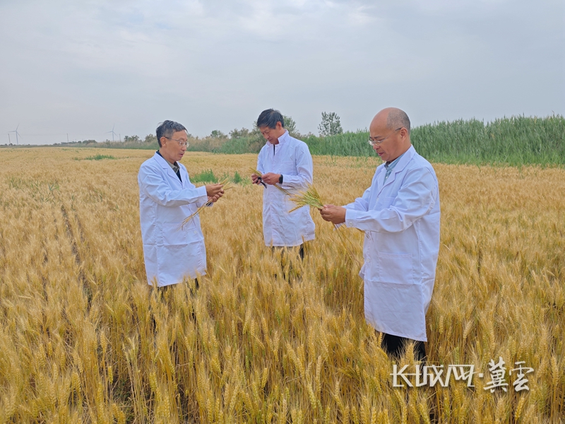 20240625937743.jpg 1719062557680015984.jpg