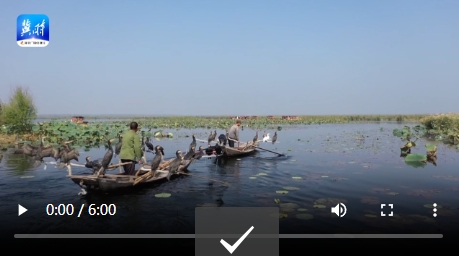 20240705807795.png 5.png