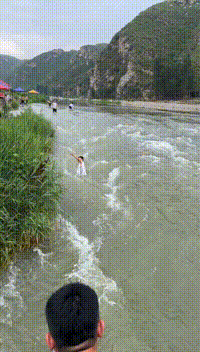1.gif