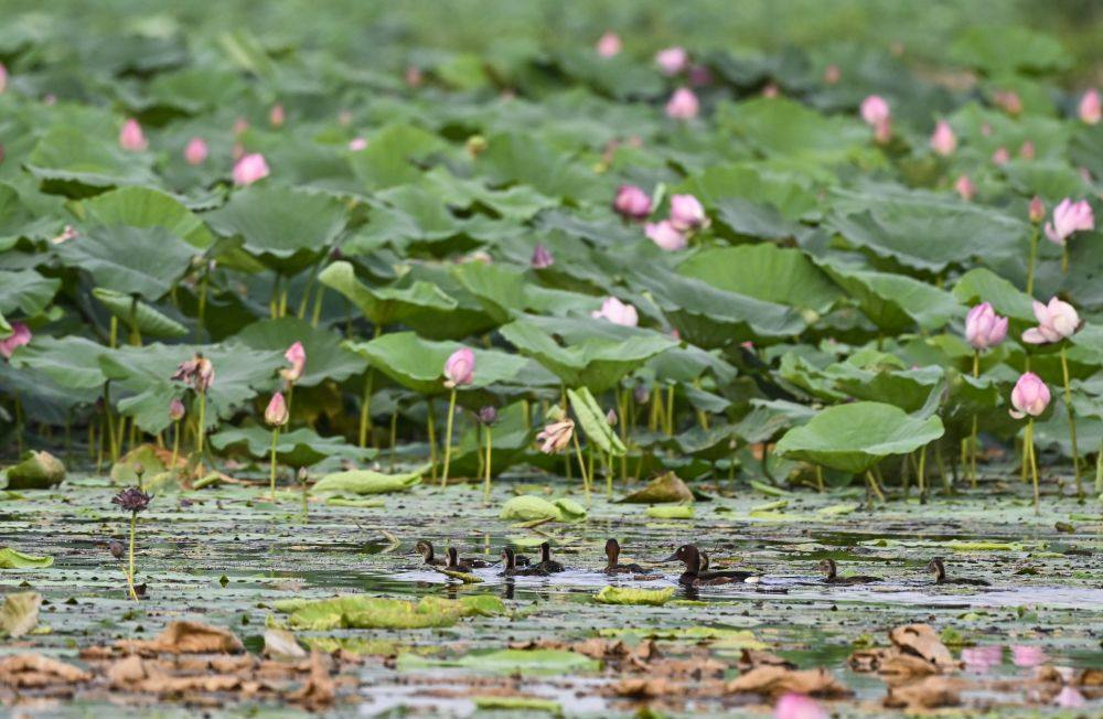 20240729567442.png 20240729567442.png