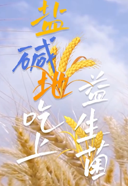 20240729787293.png 微信截图_20240729145533.png