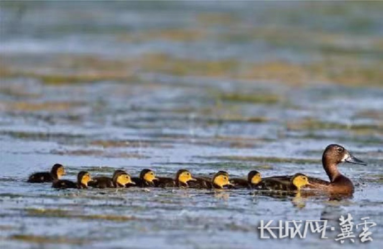 20240804725992.jpg 20240804725992.jpg