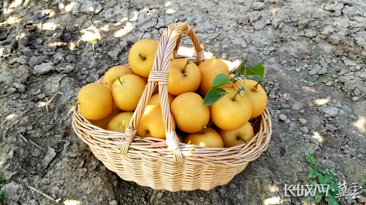 20240806115997.jpg 20240806115997.jpg