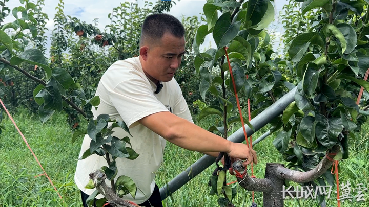 20240806485867.png 20240806485867.png