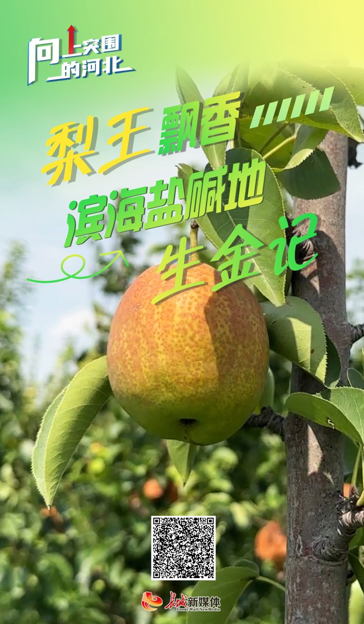 20240806507577.jpg 20240806507577.jpg