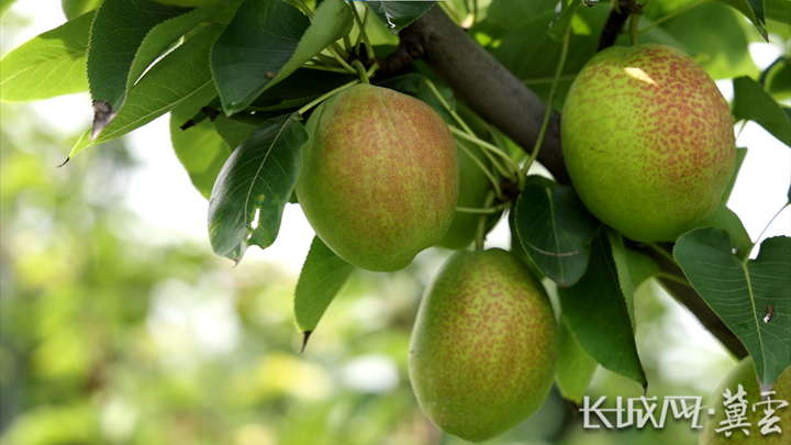 20240806792823.png 20240806792823.png