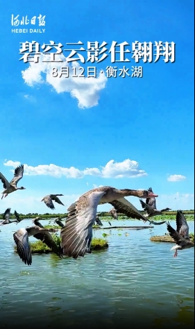 微信截图_20240830200511.png
