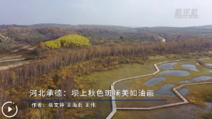 微信截图_20241004192645.png