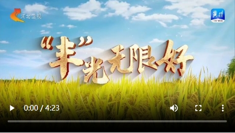 微信截图_20241006144355.png
