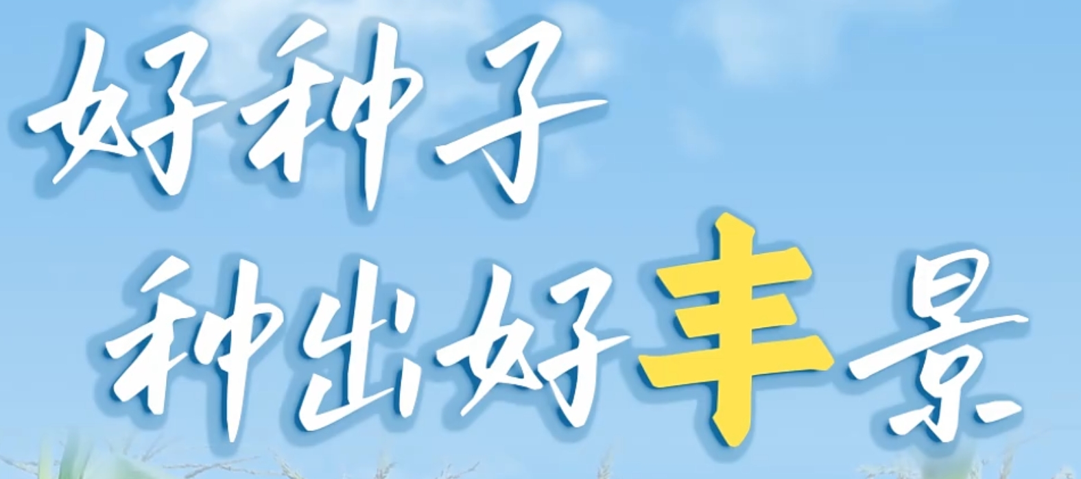 微信截图_20241008095414.png
