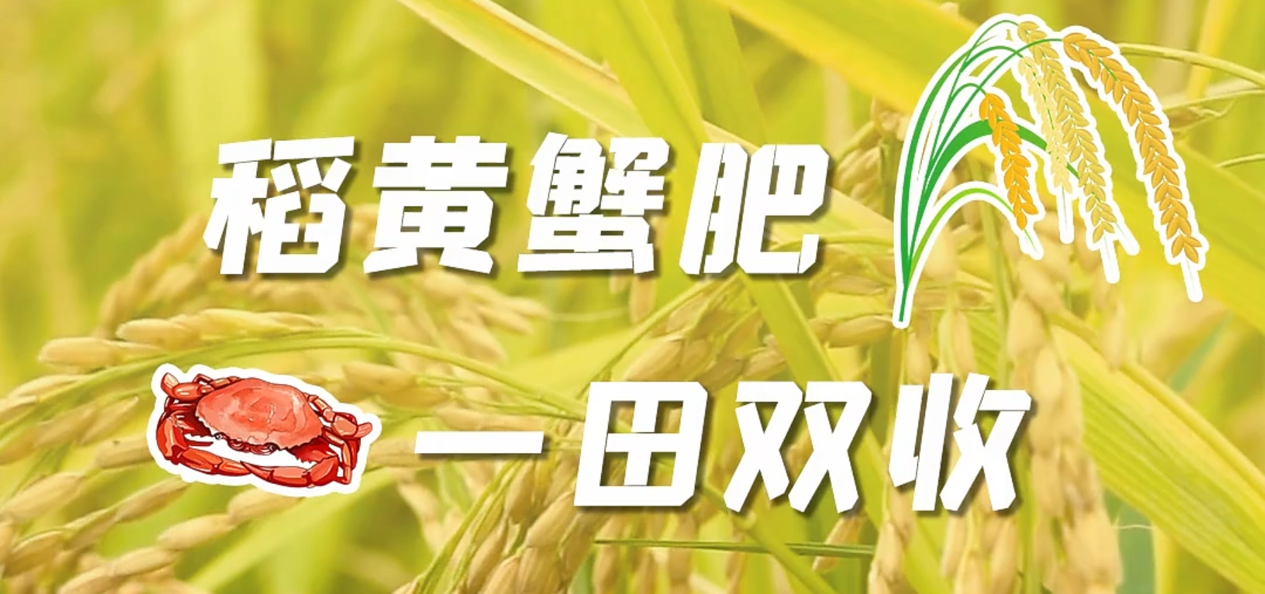 微信截图_20241008140011.png