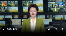 微信截图_20241008095653.png