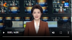 微信截图_20241008135708.png
