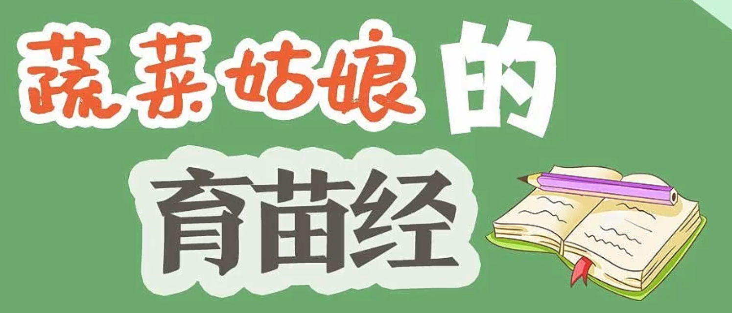 微信截图_20241008135850.png
