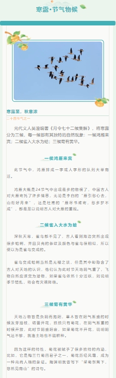 241008004.png