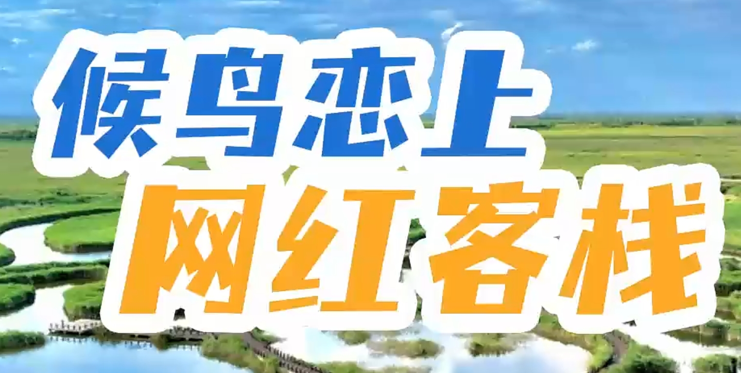 微信截图_20241011133916.png