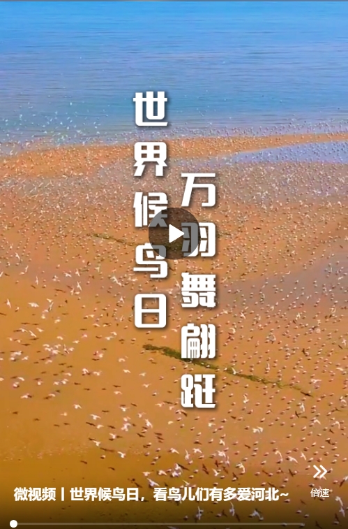 微信截图_20241012194825.png
