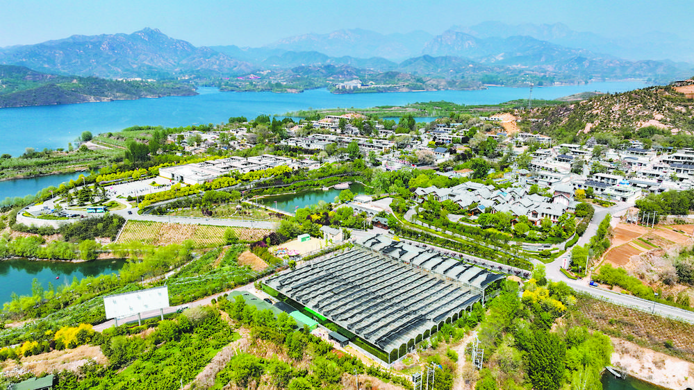 绘出和美乡村的幸福底色——石家庄市农村人居环境整治一线见闻